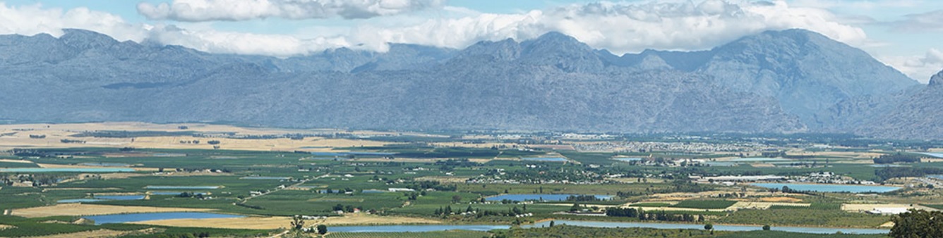 Agricultura en Sudáfrica