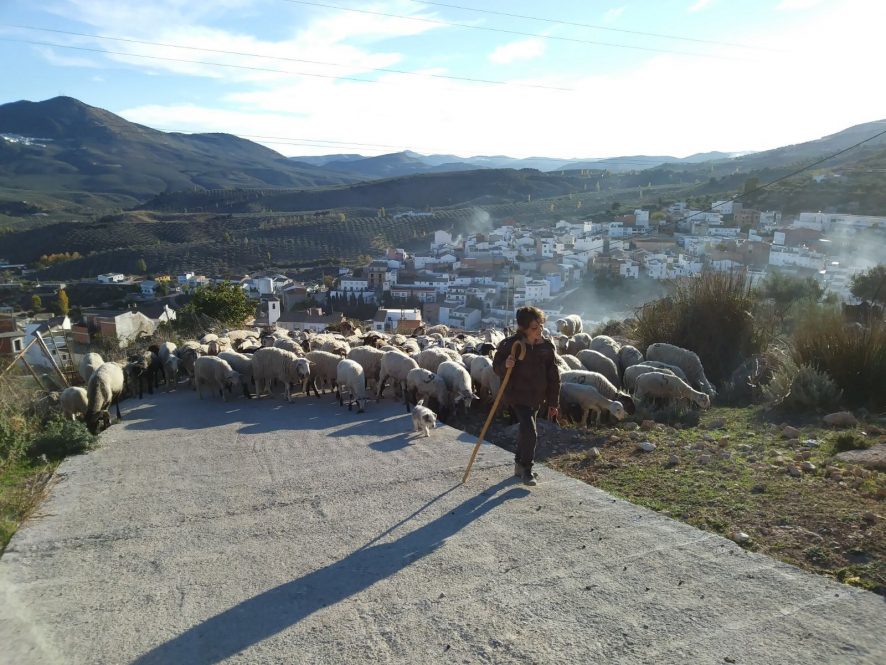 El MAPA convoca el premio “Excelencia a la comunicación” dentro sus reconocimientos a la mujer rural