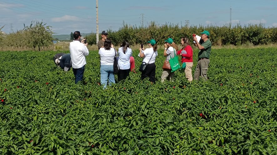 APAE participa en un viaje de prensa agroalimentaria organizado por Grupo AN